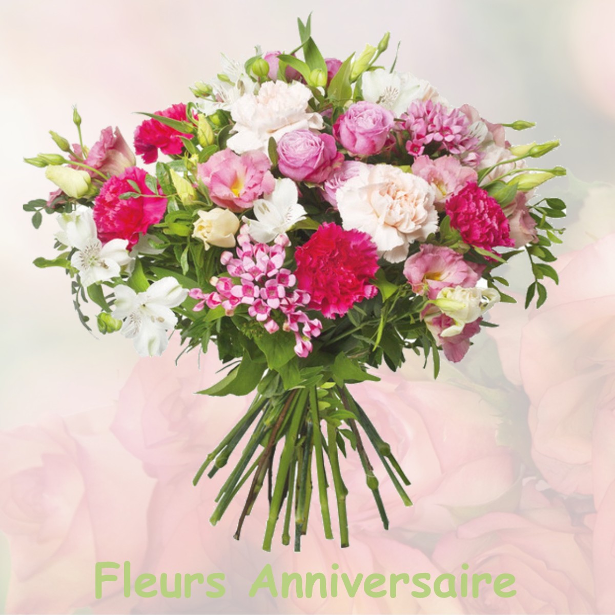 fleurs anniversaire MONTCEAUX-LES-MEAUX